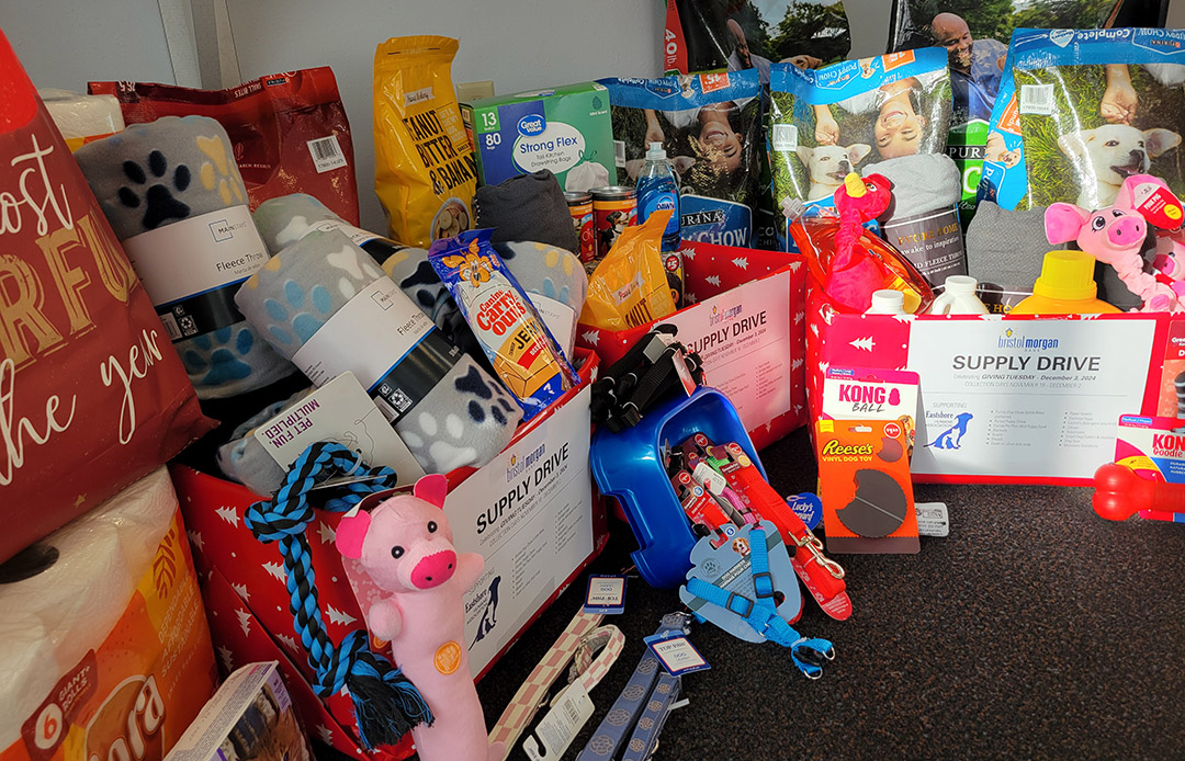 Bristol Morgan Scholarships